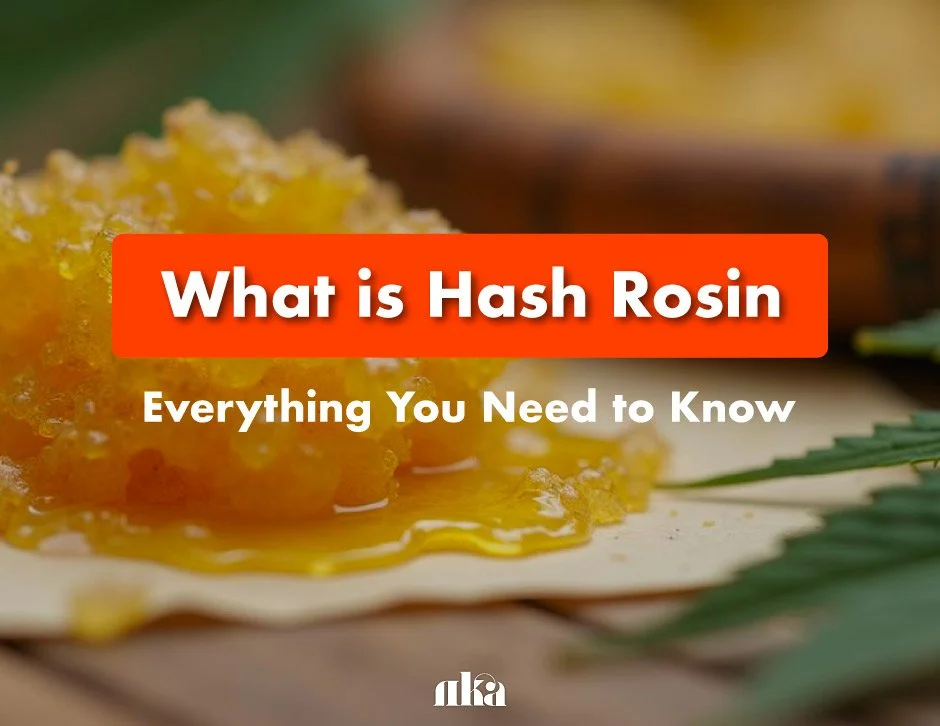 What Is Hash Rosin: Everything You Need To Know