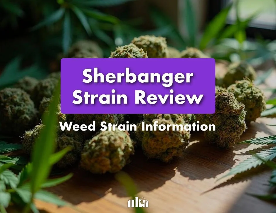 Sherbanger Strain Review: Weed Strain Information Guide