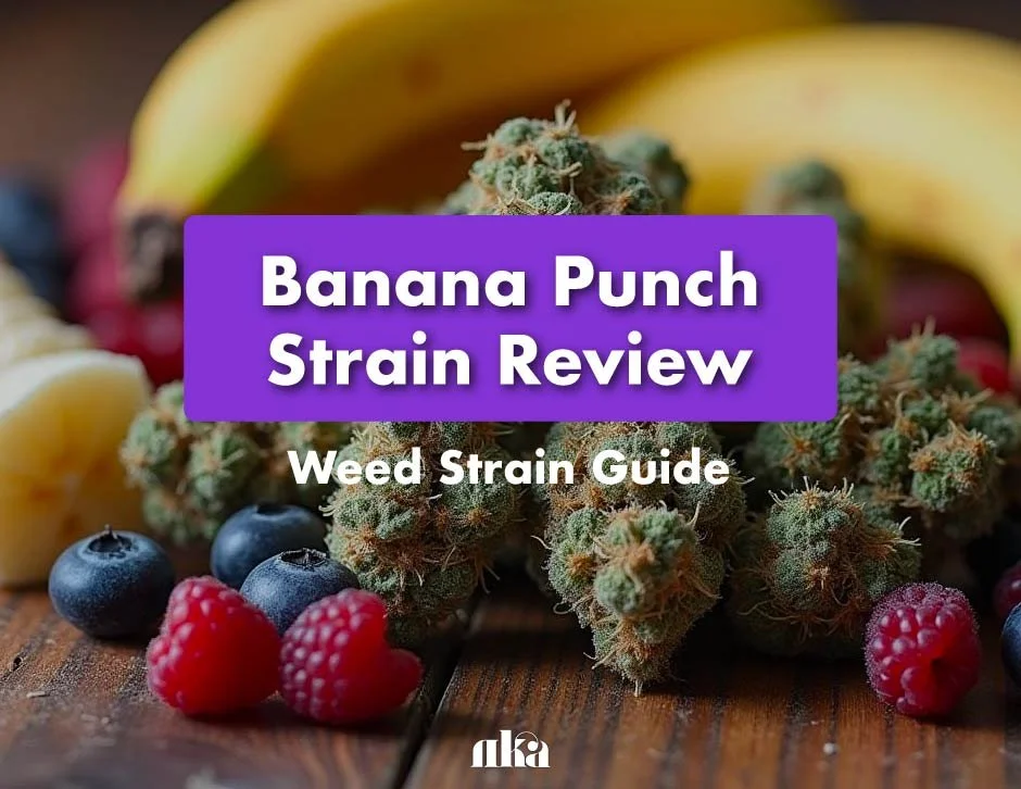 Banana Punch Strain Review: Weed Strain Guide