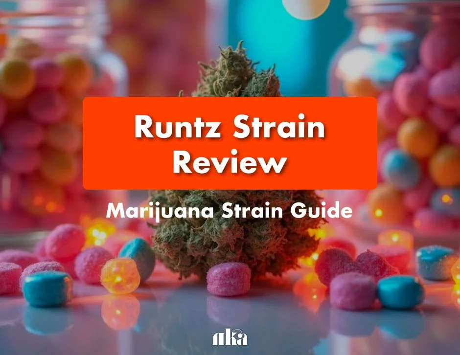 Runtz Strain Review: Marijuana Strain Guide