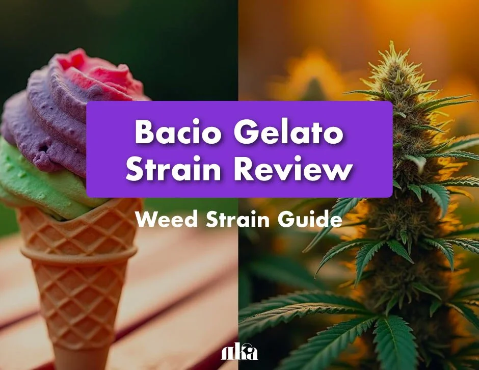 Bacio Gelato Strain Review: Weed Strain Guide