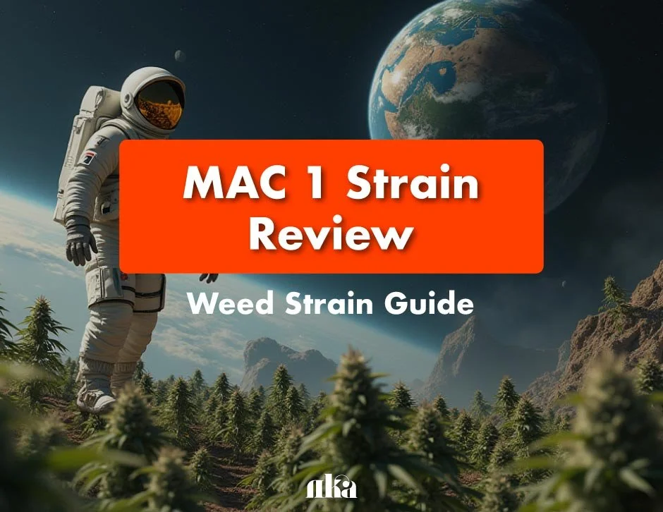 MAC 1 Strain Review: Weed Strain Guide