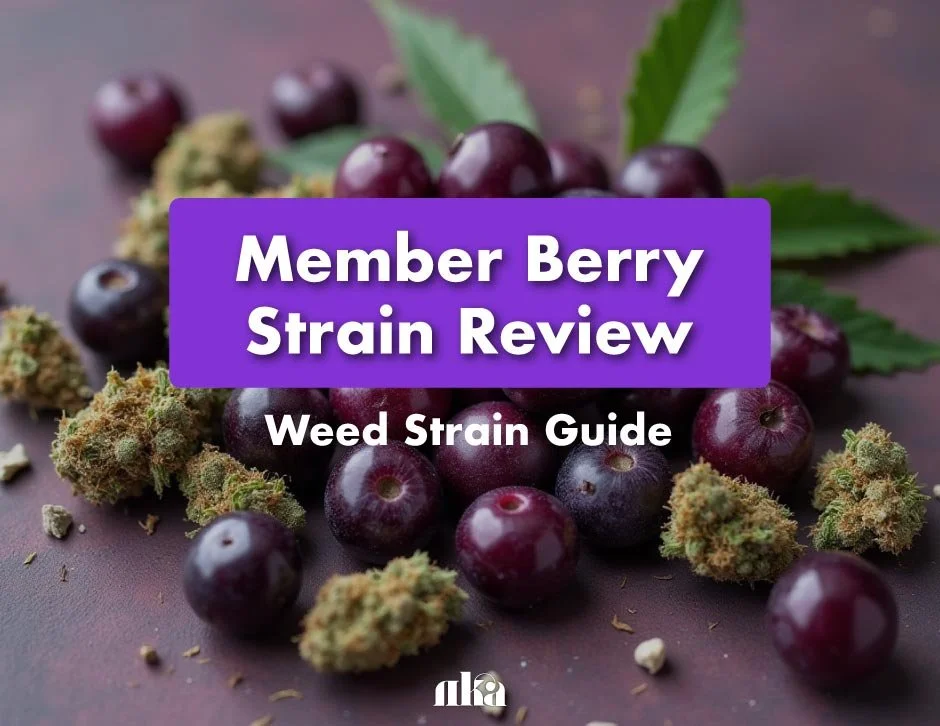 Member Berry Strain Review: Weed Strain Guide