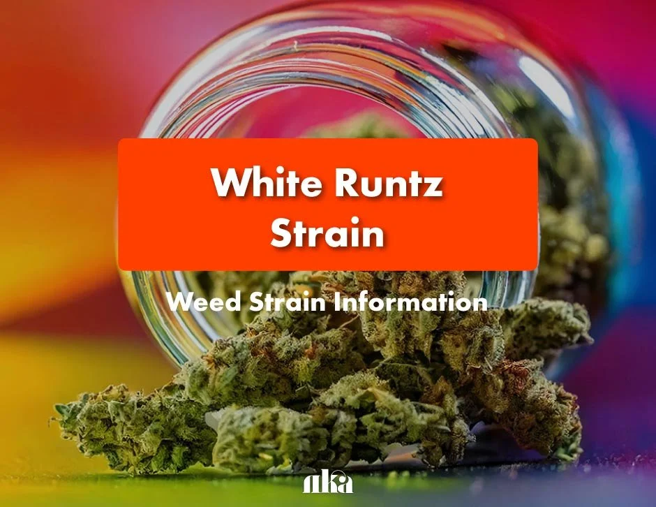 White Runtz Strain Review: Weed Strain Guide