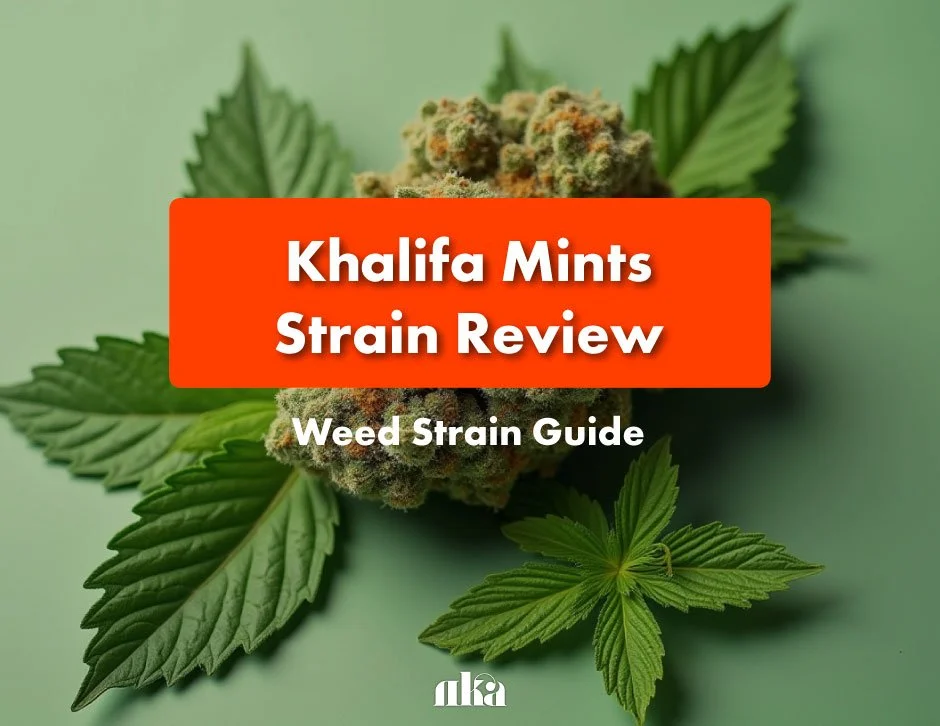 Khalifa Mints Strain Review: Weed Strain Guide