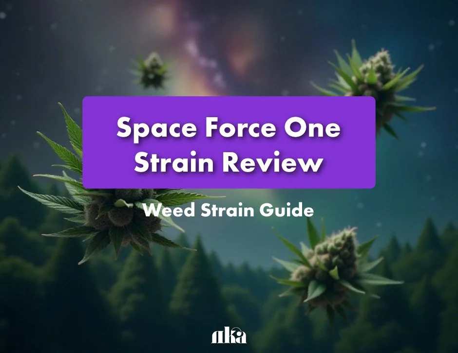 Space Force One Strain Review: Weed Strain Guide