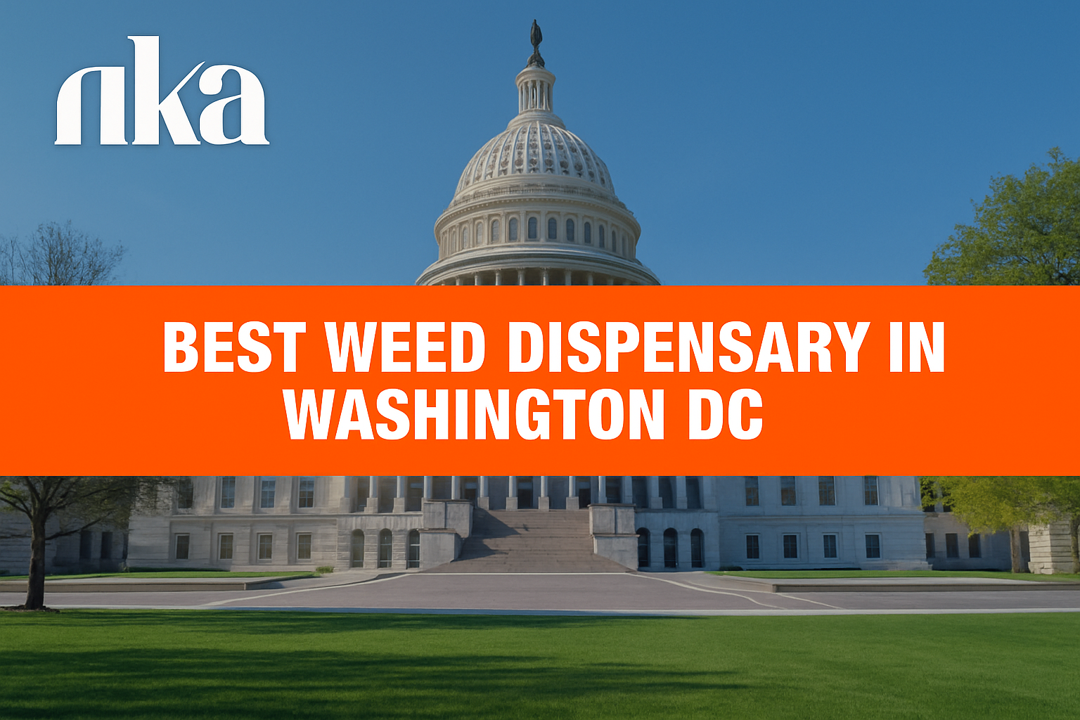 Find the Best Weed Dispensary in Washington DC: A Complete Guide