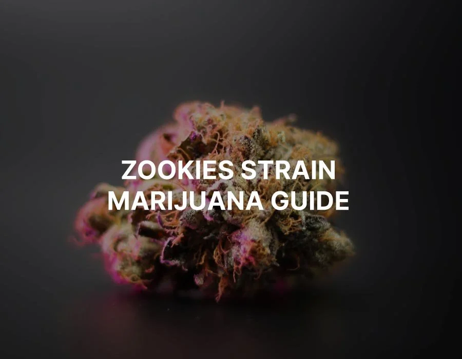 Zookies Strain Information: Complete Guide
