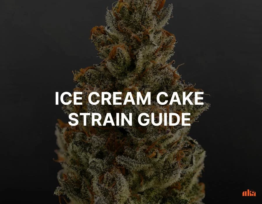The Beginner's Guide to Ice Cream Cake Strain: Effects and Benefits