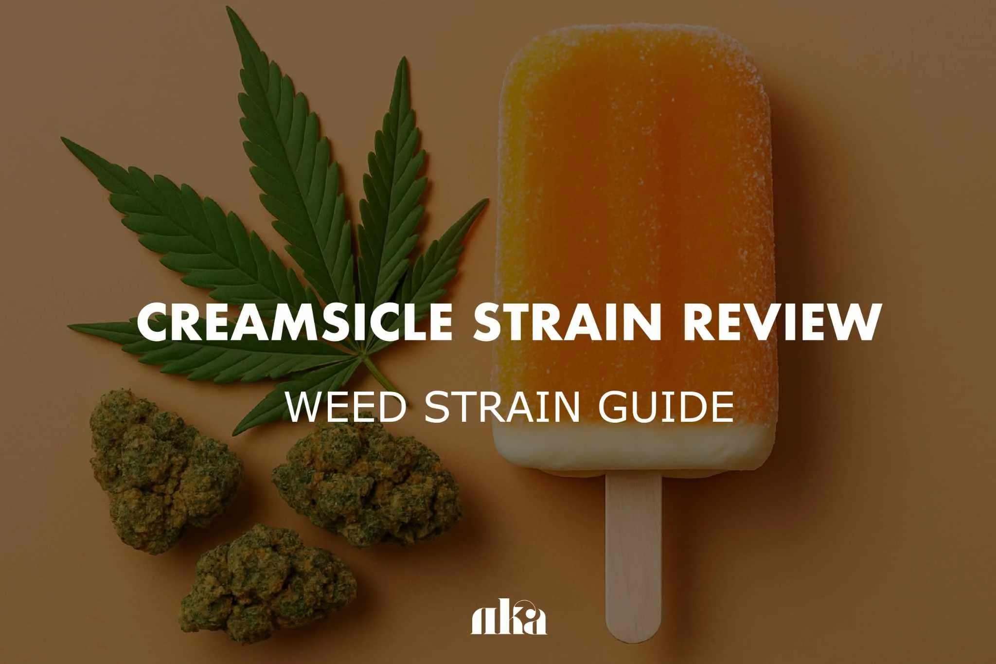 Creamsicle Strain Review: Weed Strain Guide