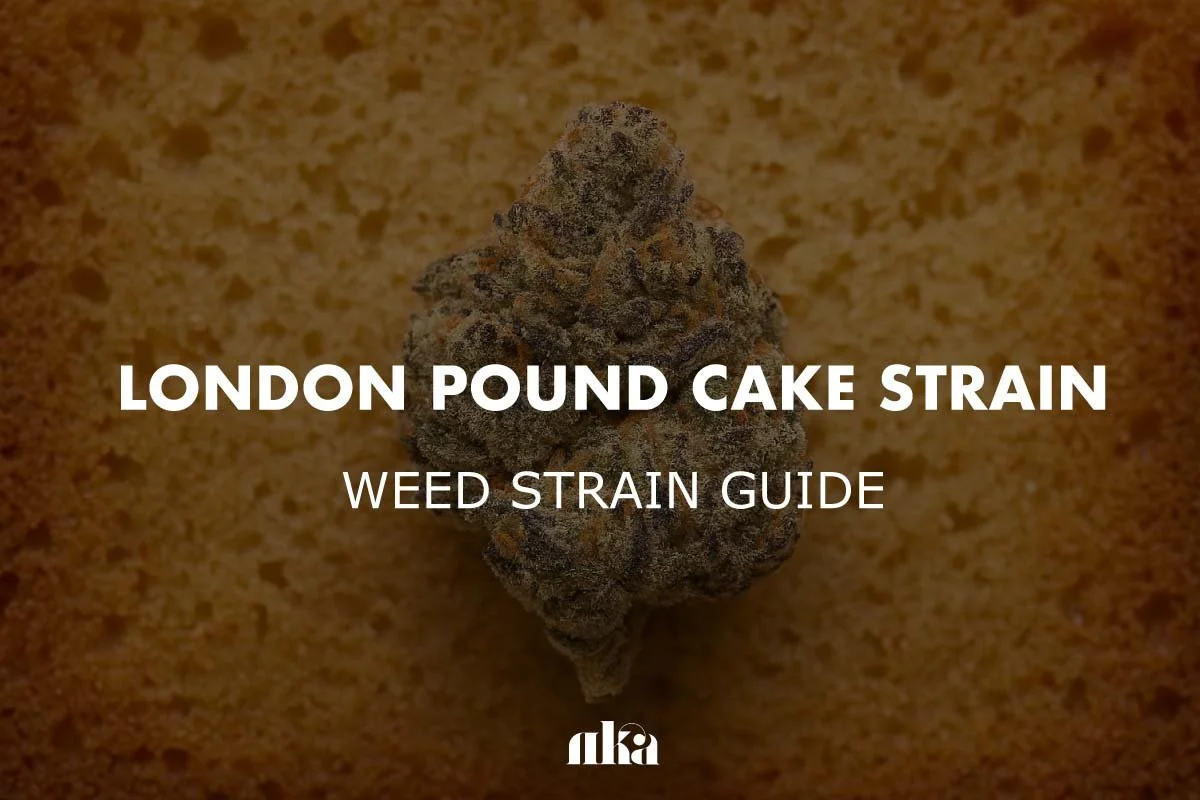 London Pound Cake Strain Review: Weed Strain Guide
