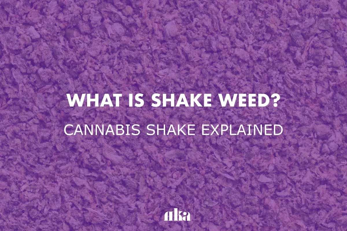 What is Shake Weed? Cannabis Shake Explained