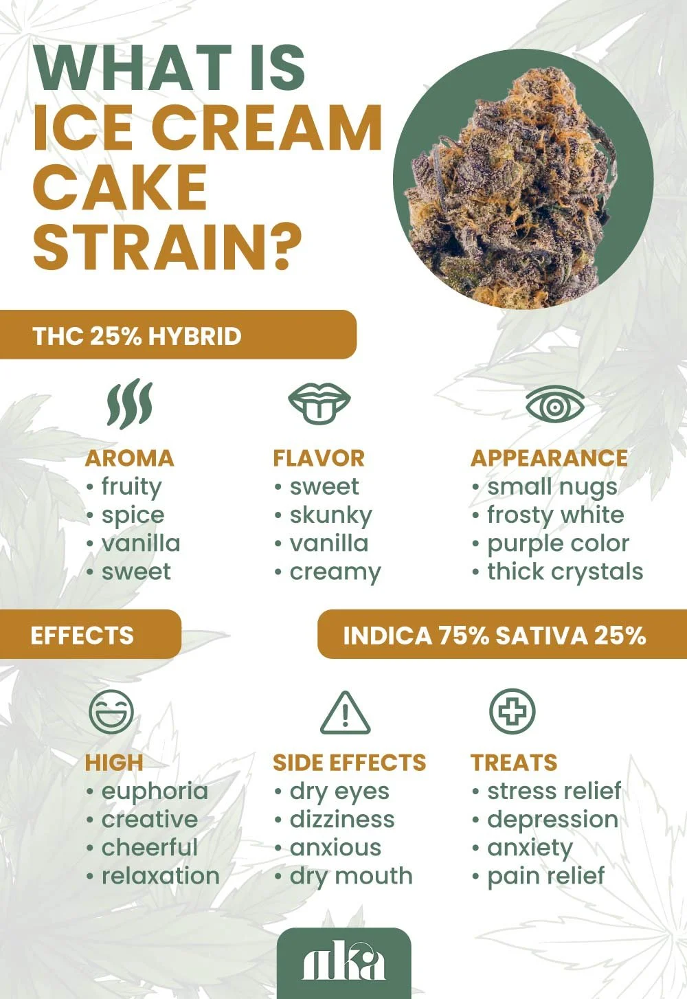 The Beginner's Guide to Ice Cream Cake Strain Effects and Benefits