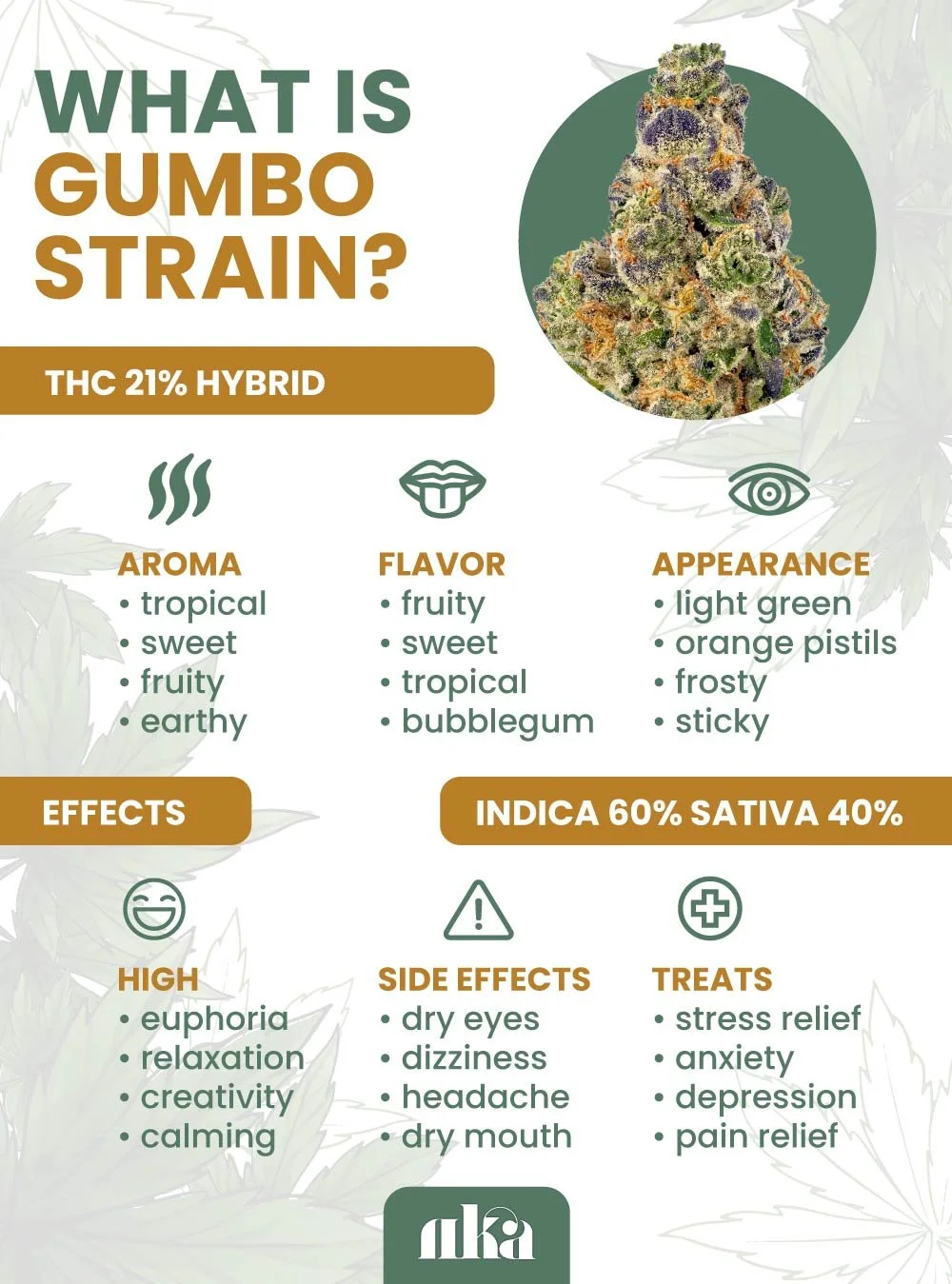 Gumbo Strain Weed Strain Information Guide