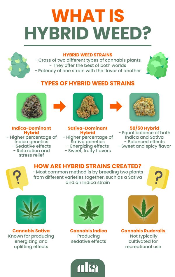 Types of Weed (Cannabis) and Strains