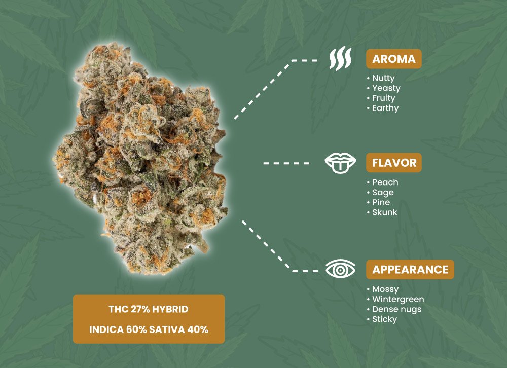 Pie Strain A Comprehensive Cannabis Guide