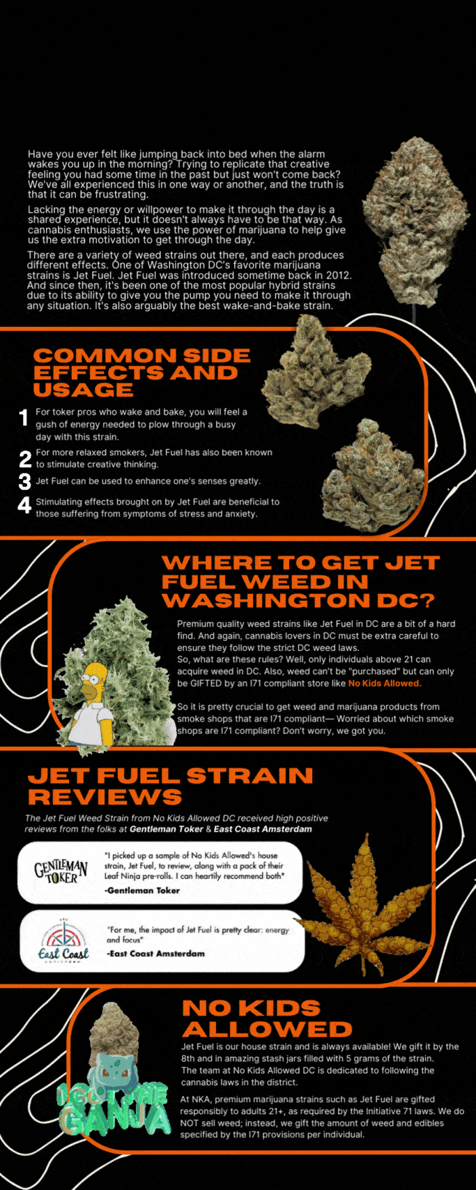 Jet Fuel Strain Ultimate Weed Information Guide
