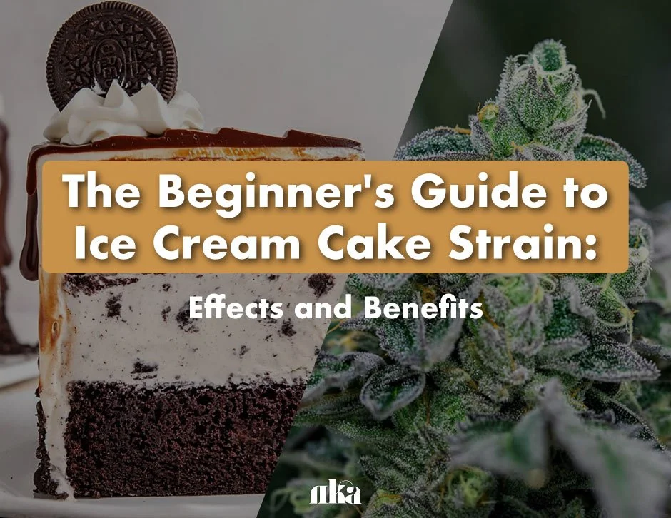 The Beginner's Guide to Ice Cream Cake Strain Effects and Benefits