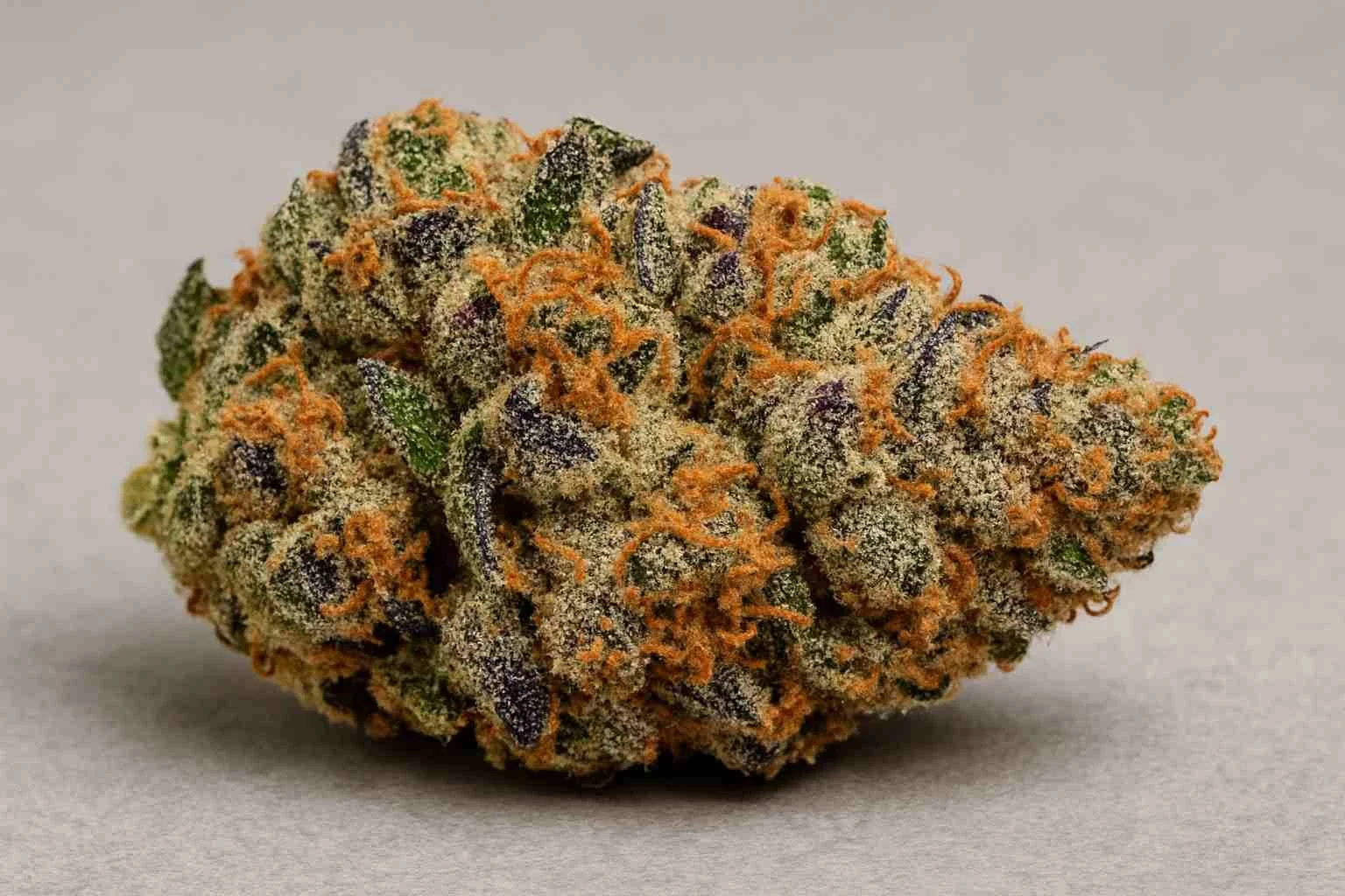 sherbanger strain weed