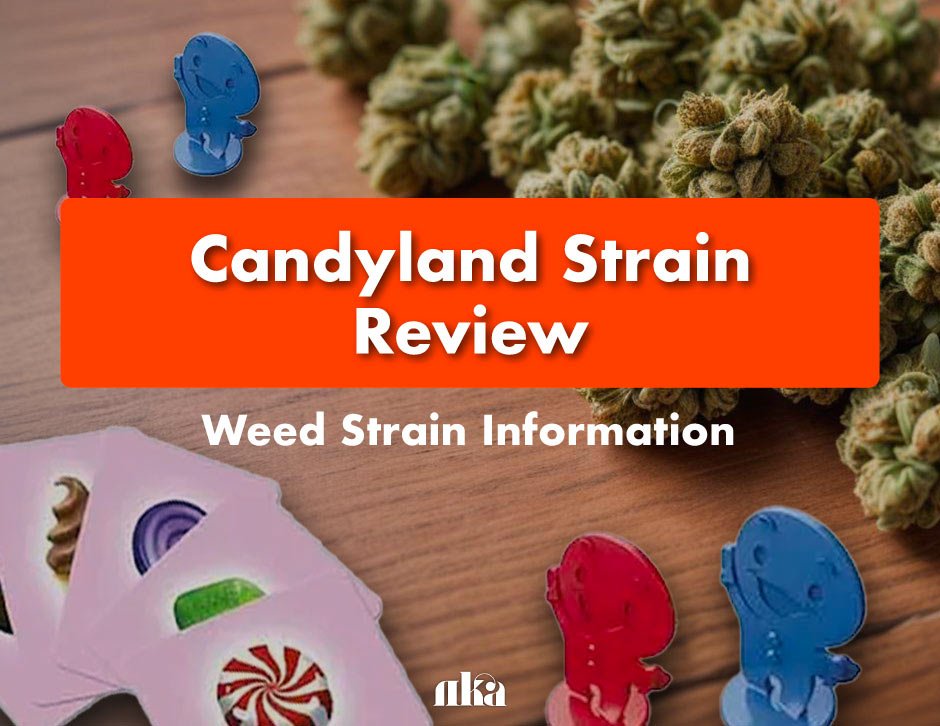Candyland Strain Review: Weed Strain Information
