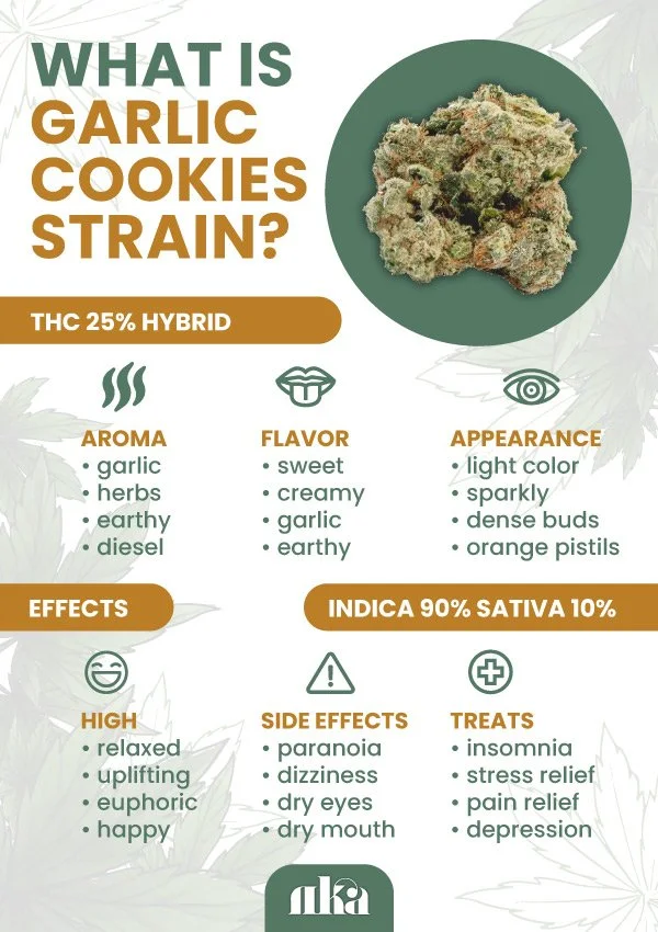 Garlic Cookies Strain [Weed Strain Guide]