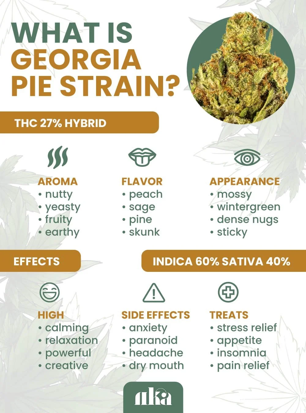 Pie Strain A Comprehensive Cannabis Guide