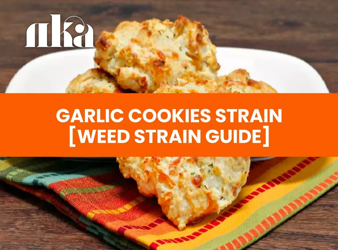 Garlic Cookies Strain [Weed Strain Guide]