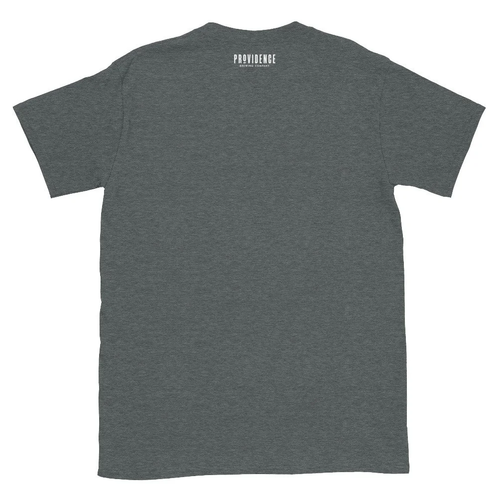 unisex-basic-softstyle-t-shirt-dark-heather-back-657391dcc3294.jpg