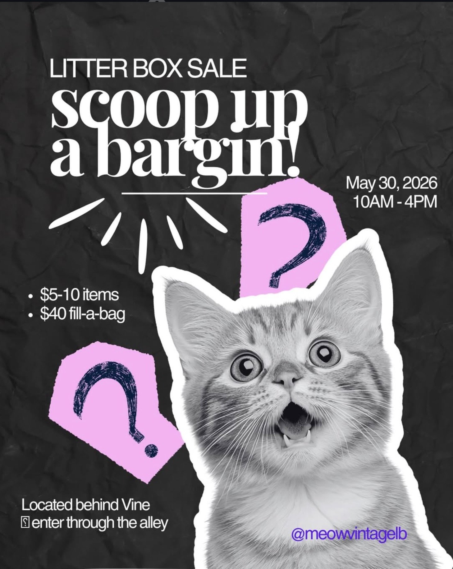Litter Box Sale