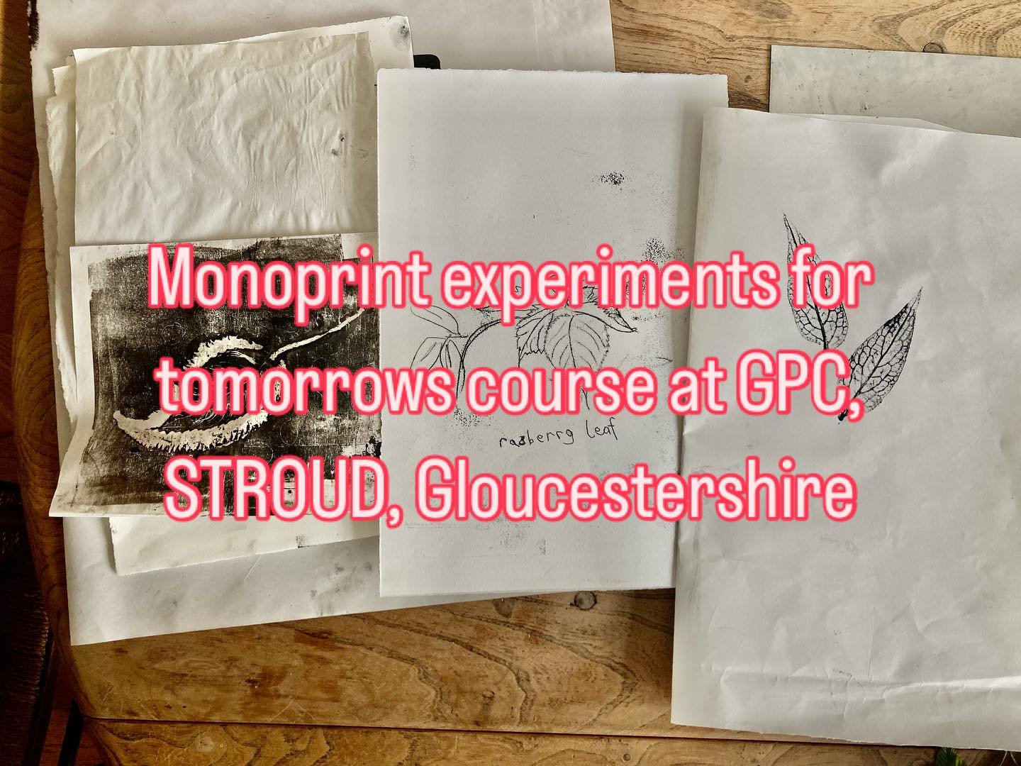 Getting ready and looking at the abundance of plant life in preparation for a day course in monoprinting at #gpc_print #monoprinting #plantlife #drawing #playing #creating #nature