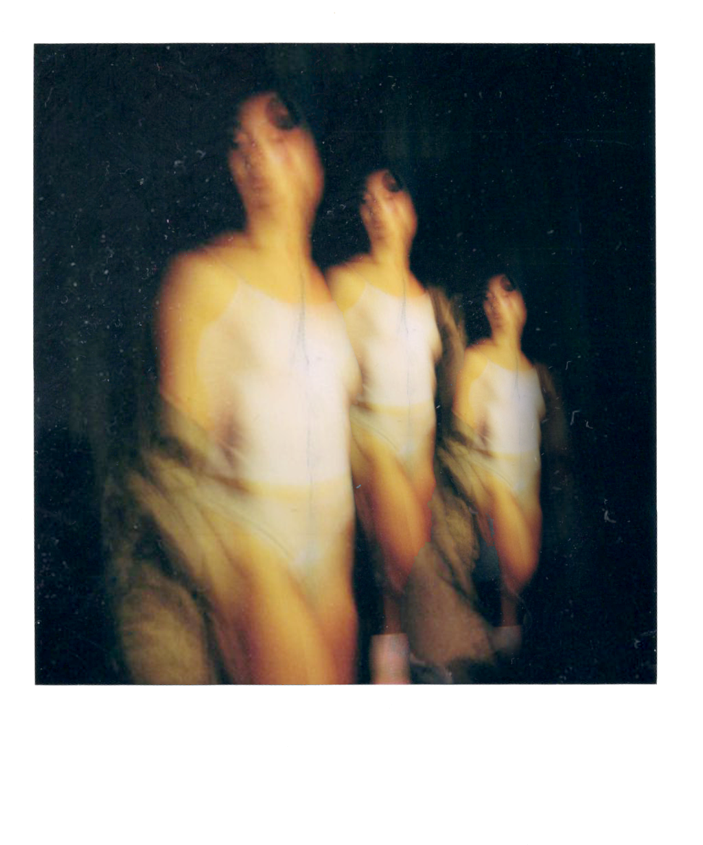 bodega 6 2026.png