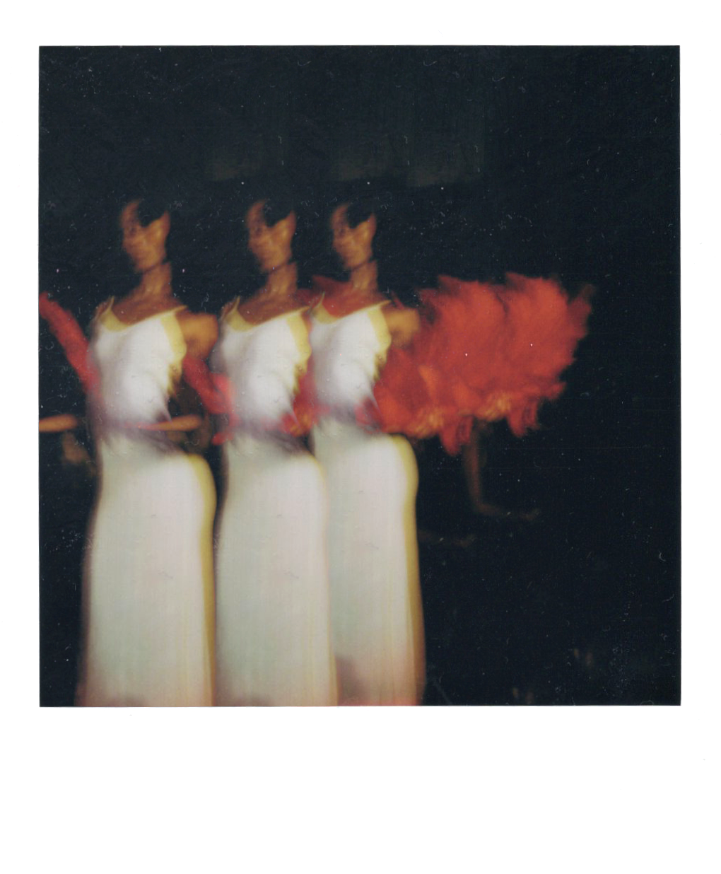 BODEGA SHOW 2026.png