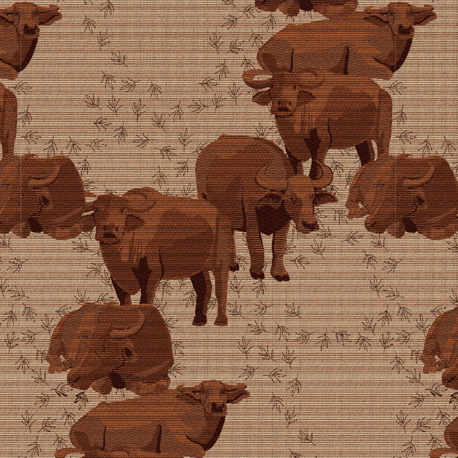 carabao final _v_v.png