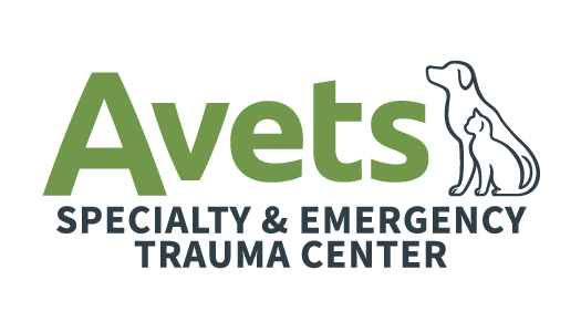 logo_avets.png