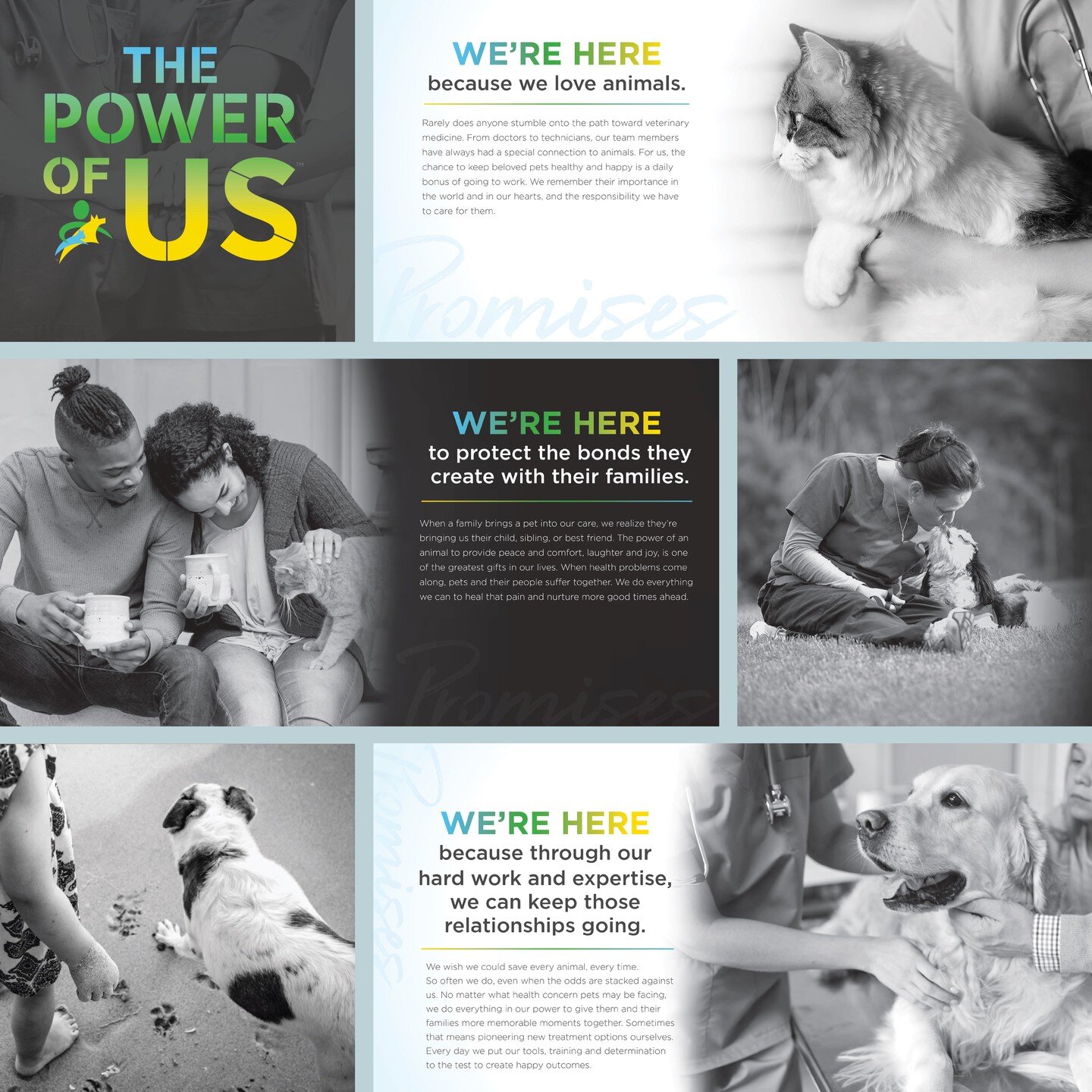 As creative people, we put our heart into every project. And that's easy to do when your client's mission is creating better health outcomes for pets and people, like our longtime client Compassion-First Pet Hospitals. For this company &quot;culture 