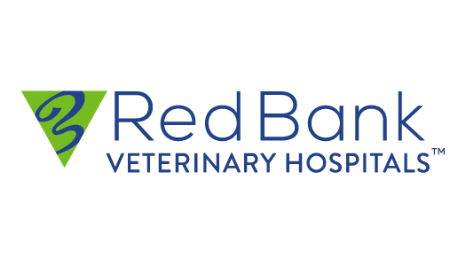 logo_rbvh.png
