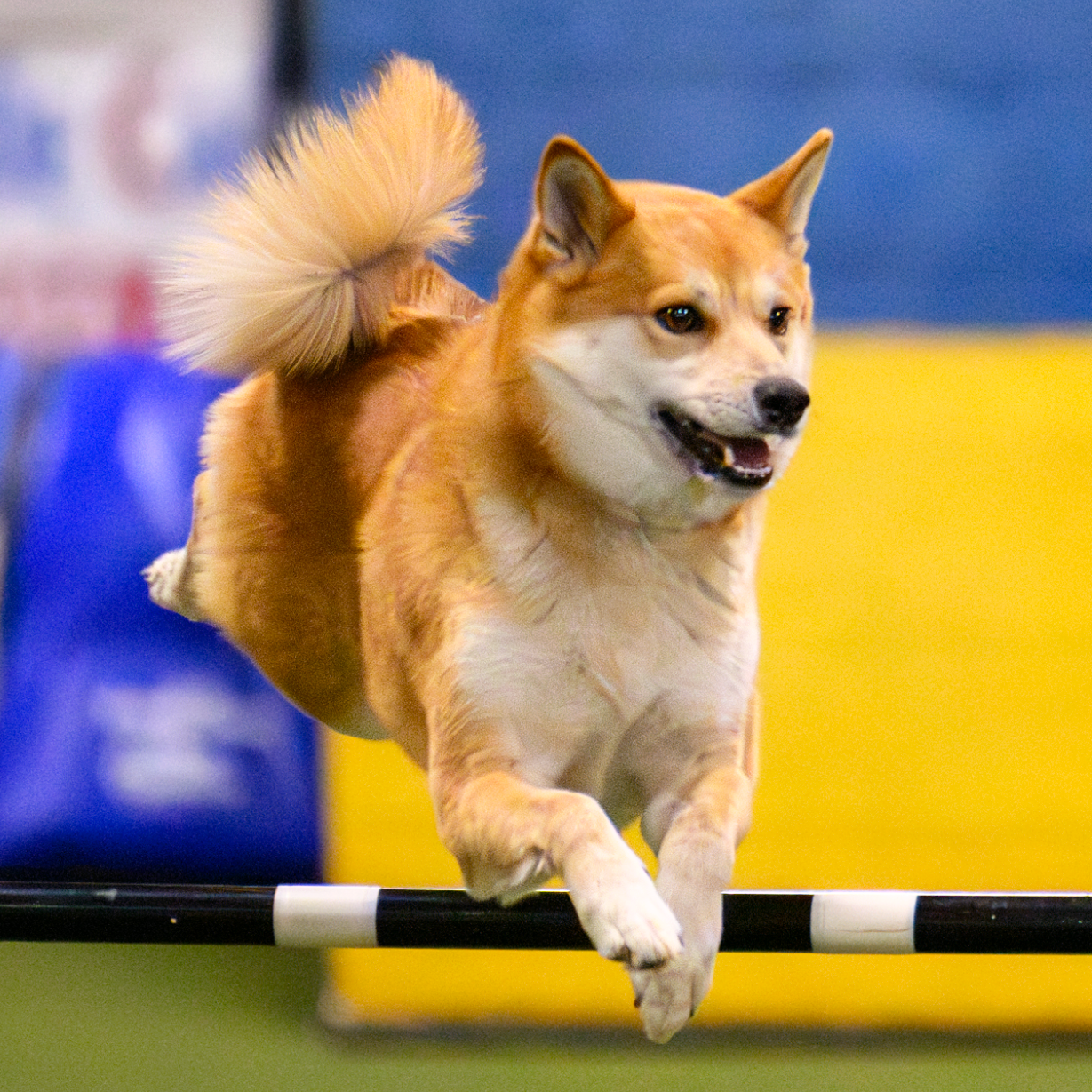 Screenshot 2024-07-23 at 9.21.18_crop.png