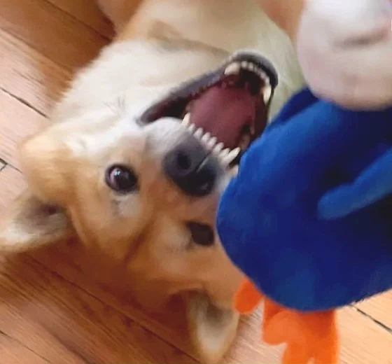 Screenshot 2024-07-20 at 2.23.24 PM.jpg