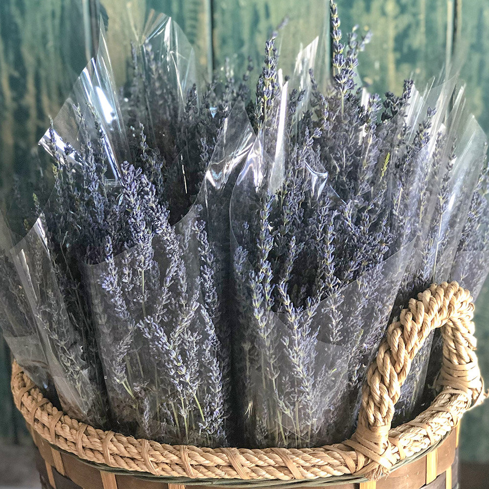 Dried Lavender Bundle - MAKE Collectives