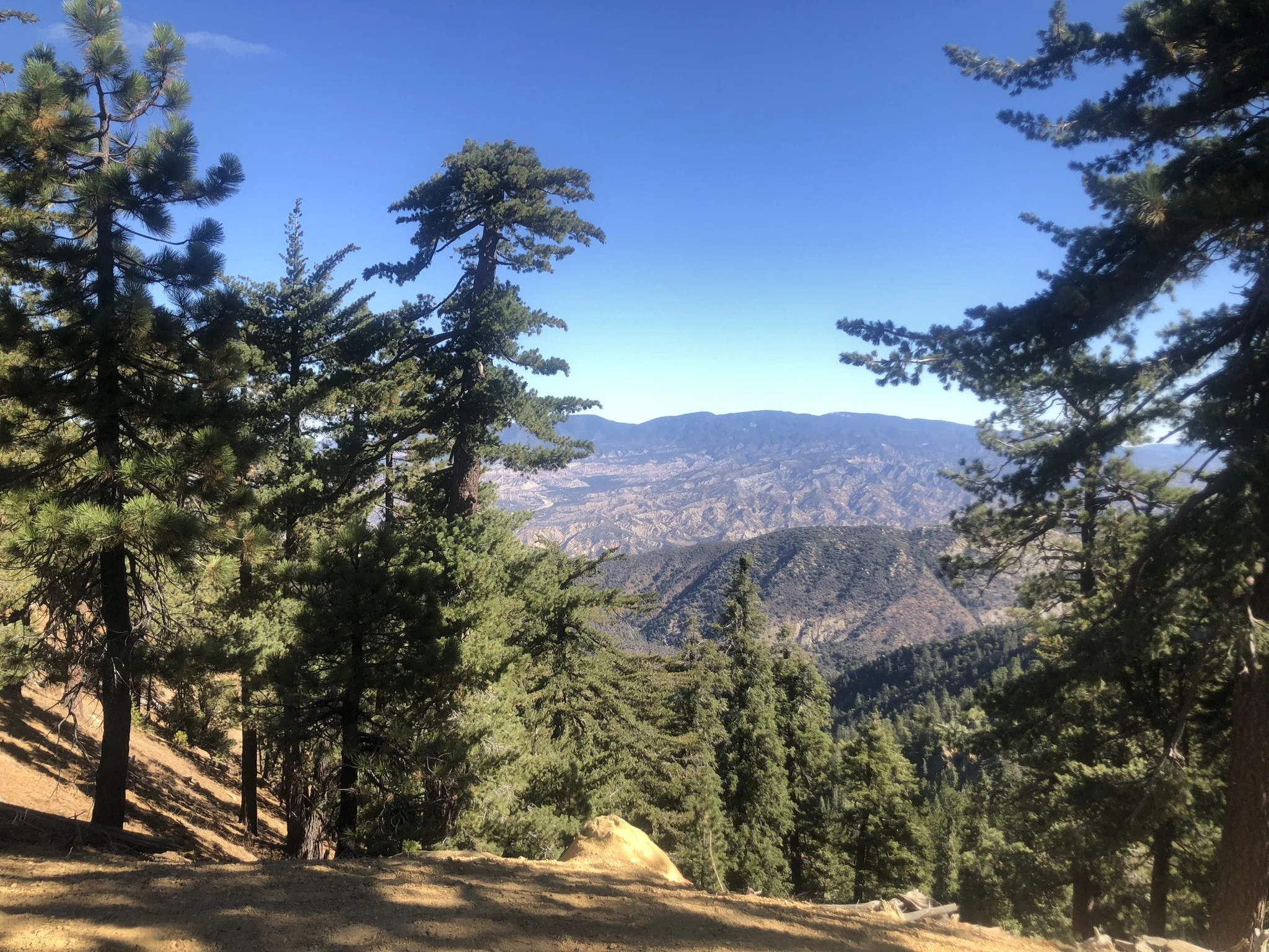 IMG_1560.JPEG