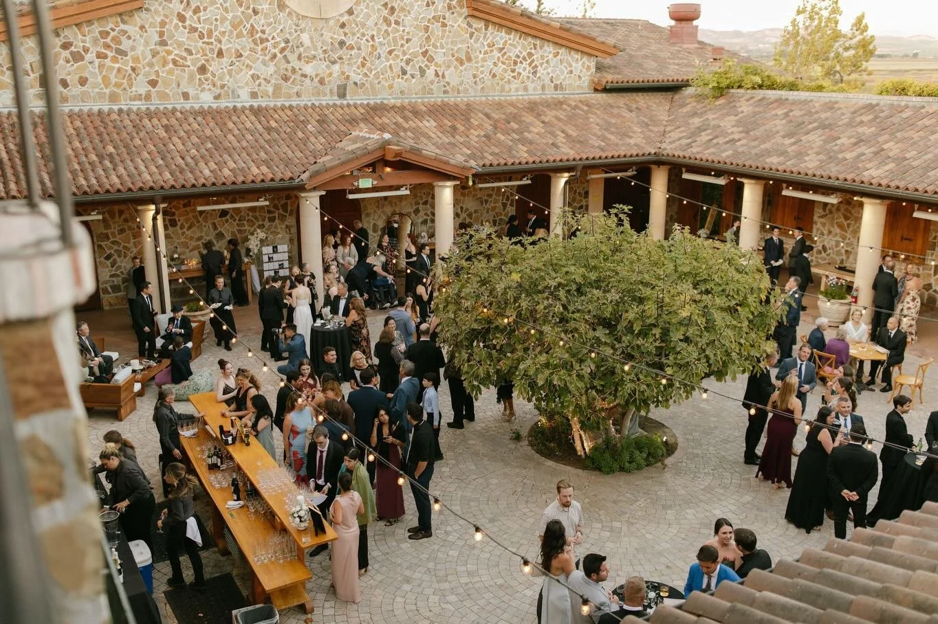 A perfect day in Sonoma for Mairi + Andrew 🤍🥂🍇 @jacuzziwines

#sonomaphotographer #jacuzzifamilyvineyards #californiaphotographer #seattlephotographer #tacomaphotographer