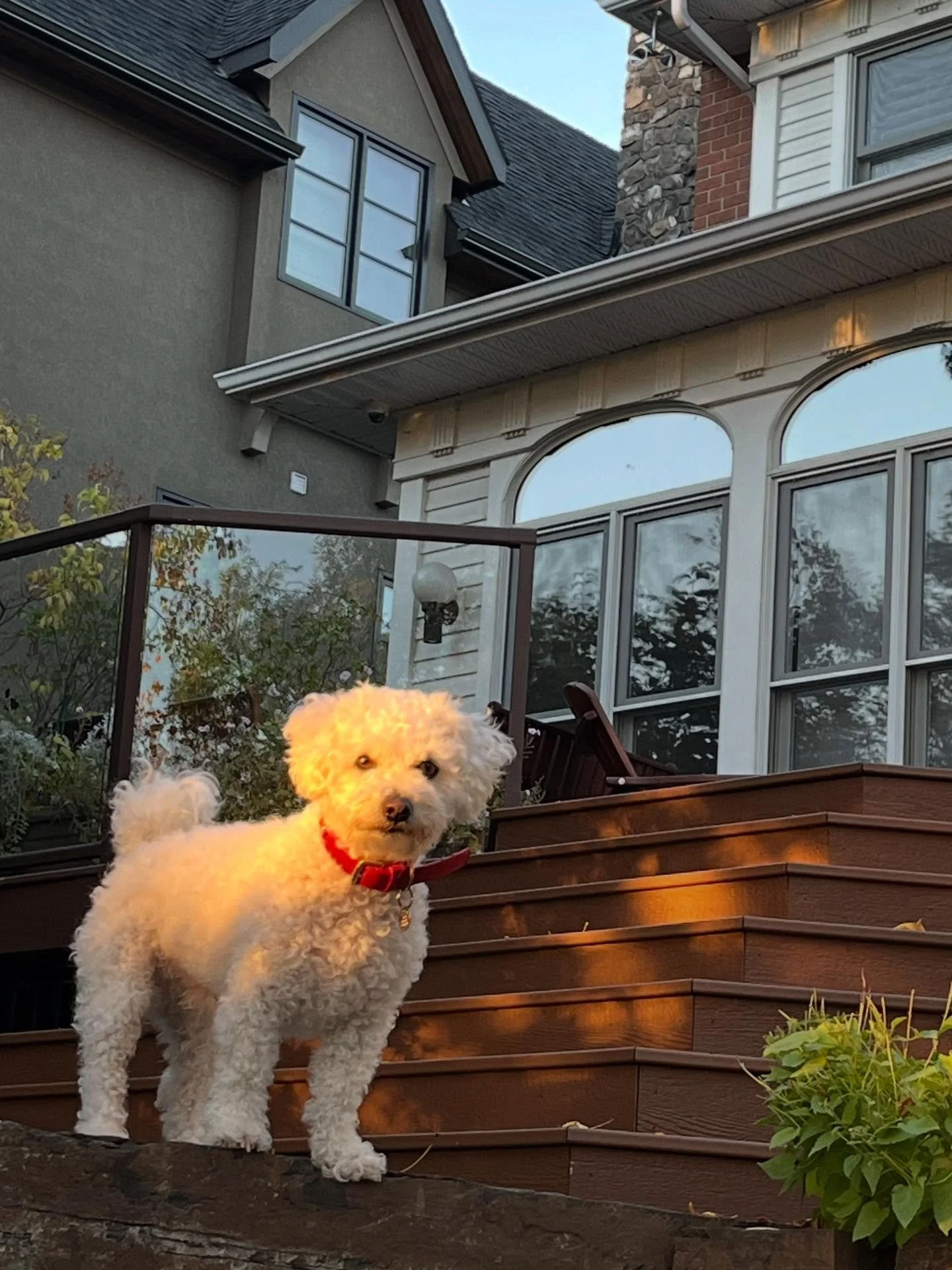 What if&hellip;

What if &ldquo;Manifestation&rdquo; wasn&rsquo;t an 8 step formula.

What if it was a series of synchronicities in alignment with following your Soul.

What if it was divine guidance &amp; soul lessons interwoven.

What if it was a b