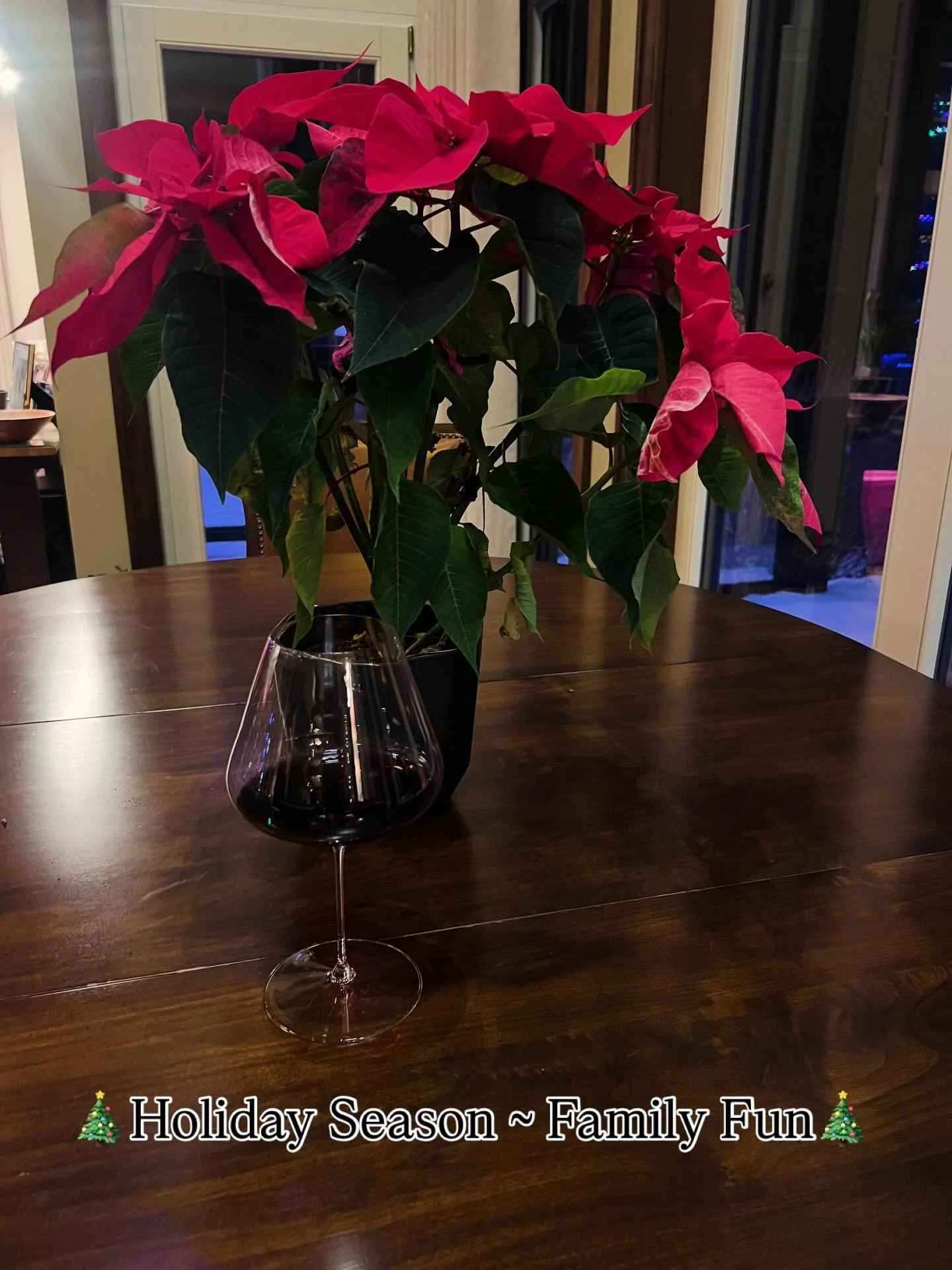 🎄Holiday Season ~ Family Fun🎄 

Such a magical day and evening of family, skiing, decorating, cooking, boundless laughs&hellip; my parents have the best sense of humor 🤣 

So grateful for healing my &ldquo;not belonging&rdquo; wound &hellip; to be