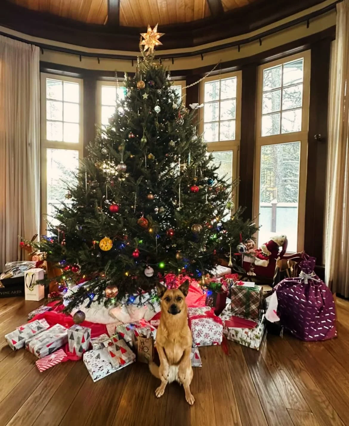 📸 Holiday Season Snapshots 📸

Beyond grateful for such a full-bodied Christmas 🎄

So many memories.
So many laughs.

And just as meaningful&mdash;old patterns surfacing so they could finally be seen, shifted, and healed.

The holidays are meant fo