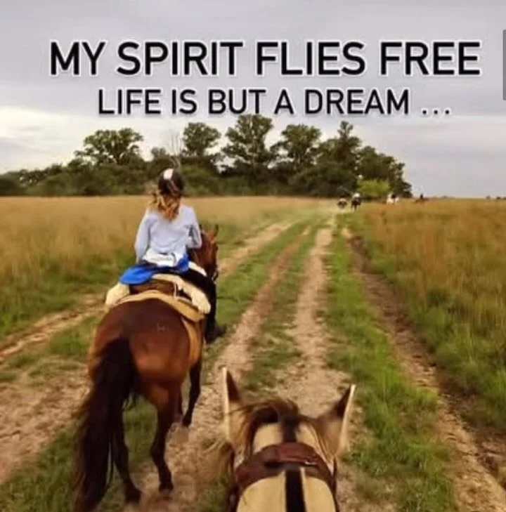 Life is but a dream...

When we follow our Soul ~ our &ldquo;dream&rdquo; becomes our lived reality.

This dream reality&nbsp;was birthed through me following my soul &amp; moving through the initiations, soul lessons &amp; casting the vision of my h