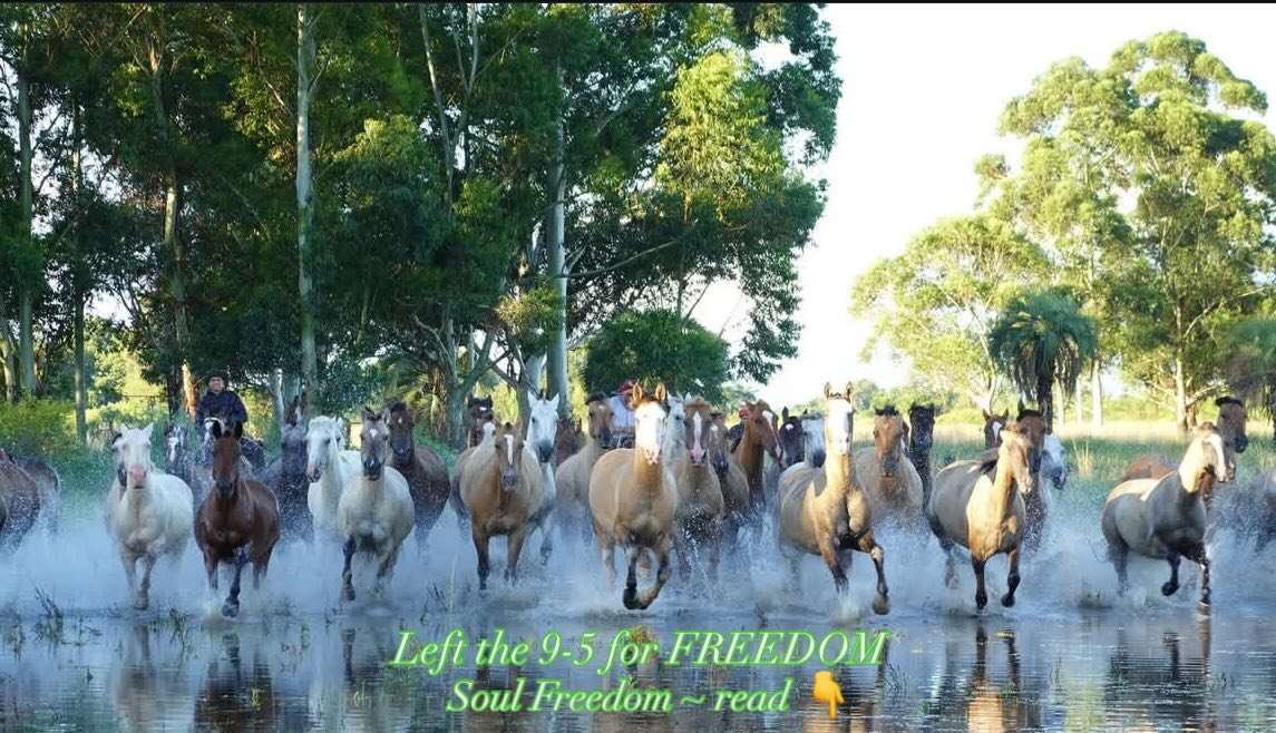 At 17, I didn&rsquo;t want safe.
I wanted true.

I was handed a 9&ndash;5 &ldquo;dream job&rdquo;&mdash;
the one most people chase their entire lives.

I gave my notice after two weeks.
Left after a month.

I realized something early:
your work consu