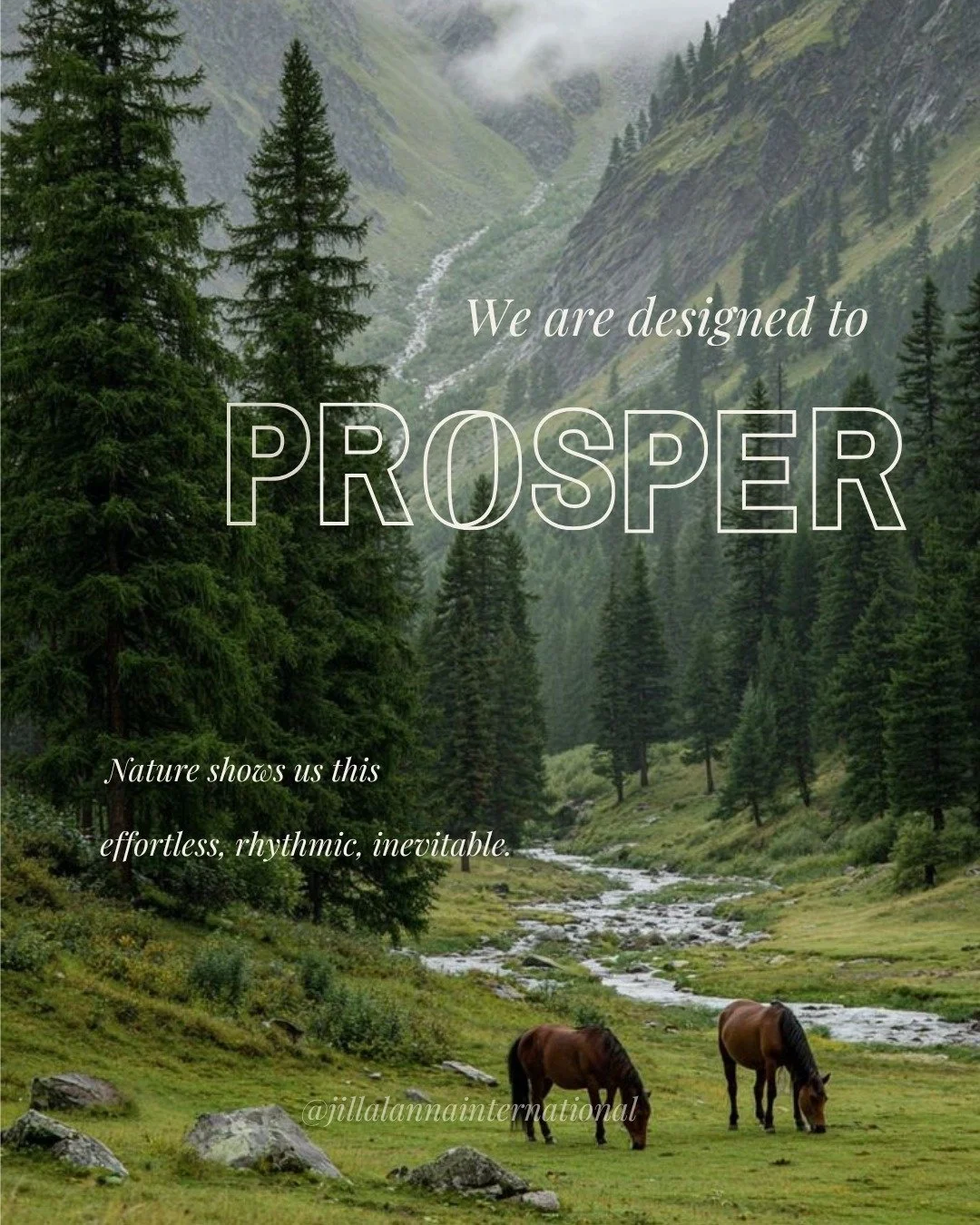 You were never meant to force your way into success.

Prosperity isn&rsquo;t built through urgency, pressure, or manipulation.
It&rsquo;s built the same way nature grows through time,
through deep roots,
through nourishment,
through aligned environme