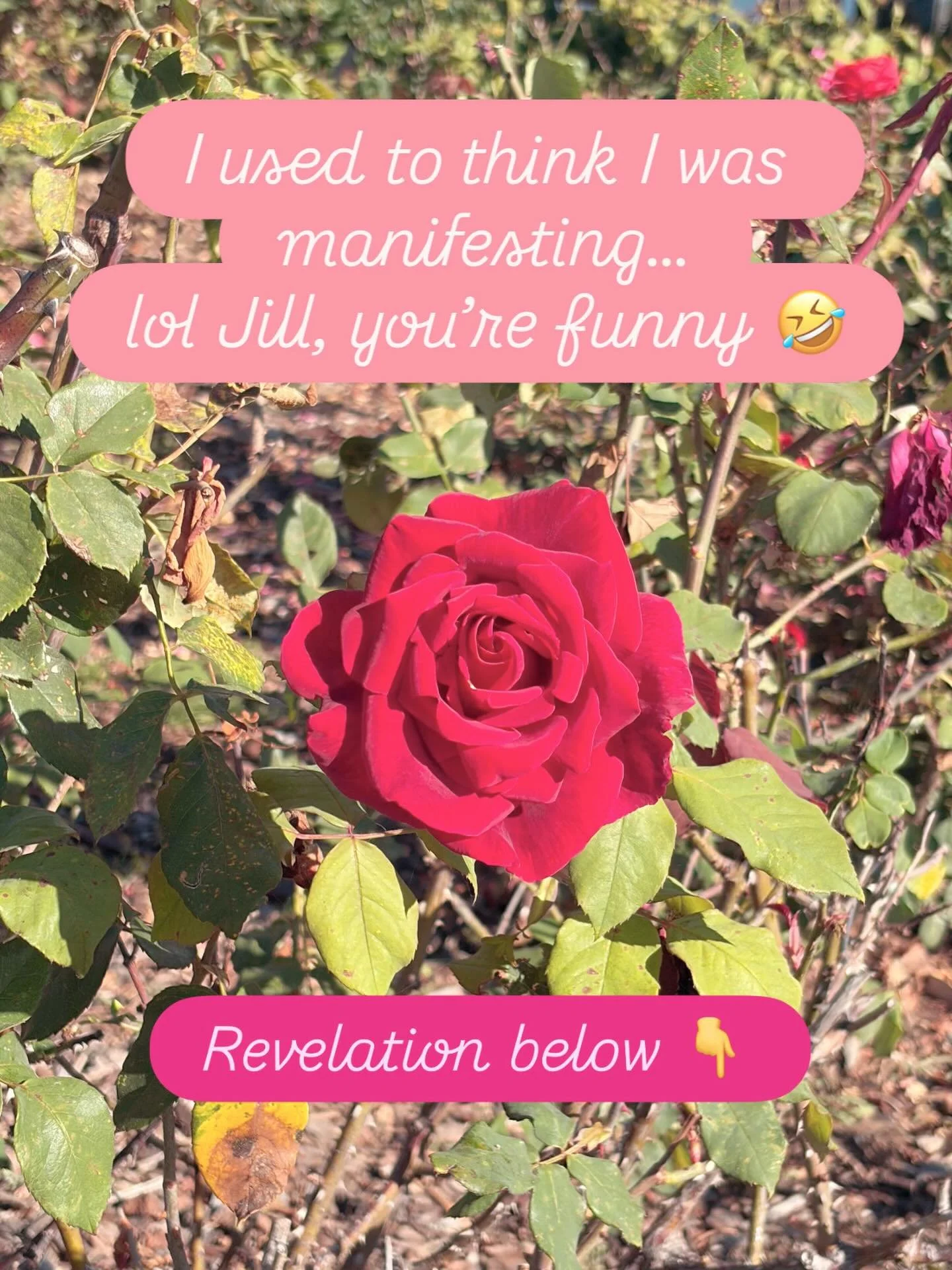 I used to think I was manifesting&hellip;
lol Jill, you&rsquo;re funny 🤣

Until I realized&mdash;every &ldquo;miracle&rdquo; happened in surrender.

Not to my mind.
Not to control.
But to God.

I didn&rsquo;t create them.
I opened to receive them&he