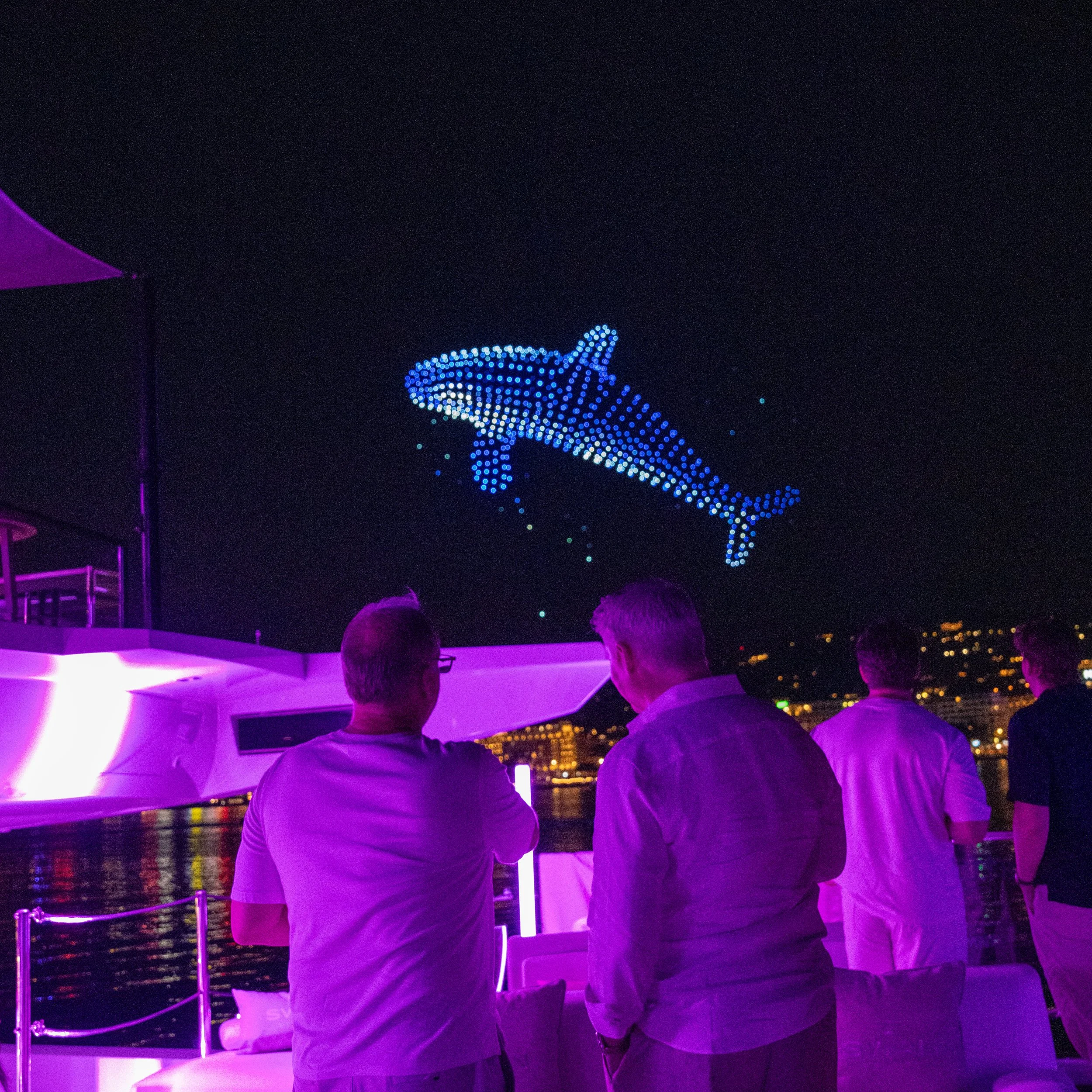 dolphin.jpg