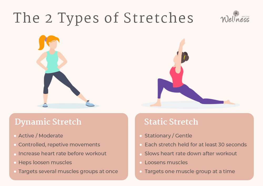 Dynamic Stretching Examples